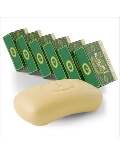 Jabón Líquido Orgánico de Castile Salvia Lima 500ml - Suavizante 2