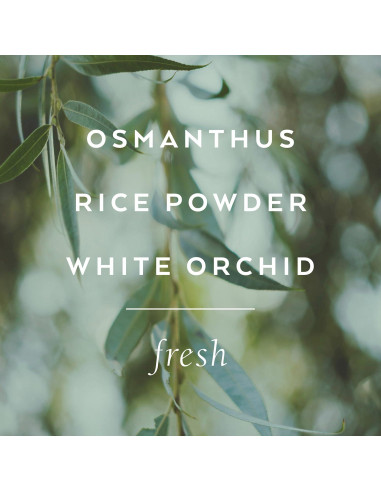 Baño de Burbujas Olvidame No Lollia 500 ml - Hidratante y Relajante