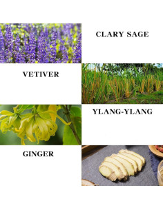 Aceite de Masaje O'RMEAS de Jengibre 248 ml Hidratante Natural 2