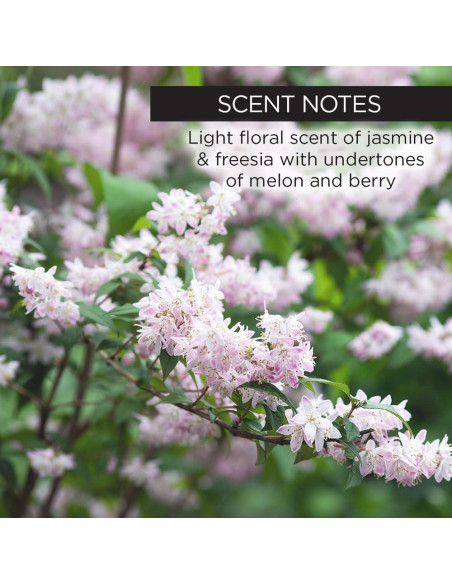 Aceite Facial Whish con Bakuchiol 30 ml - Hidratante Natural Aceite Facial Whish con Bakuchiol 30 ml - Hidratante Natural