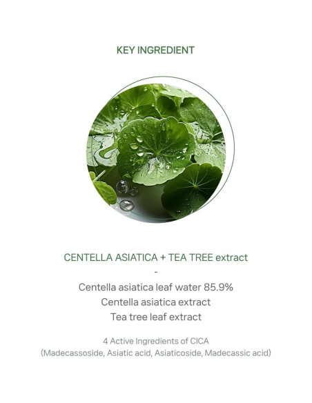 Toner Facial CICA AC Clear The Plant Base 195ml - Piel Grasa