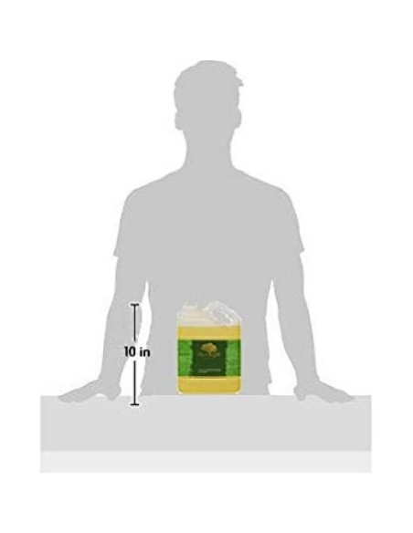 Aceite de Marula Premium 3.5L - 100% Puro Prensado en Frío