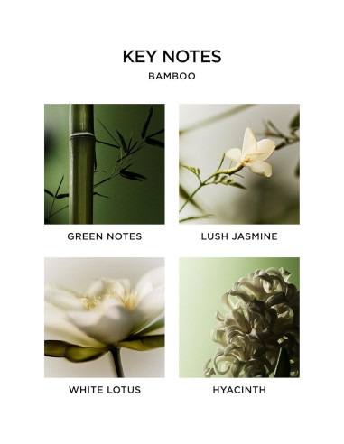 Jabón Líquido NEST Nueva York Bambú 295 ml - Nutre y Limpia