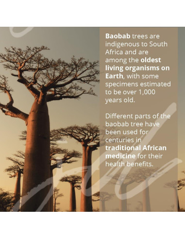 Loción Corporal Baobab y Honeybush 500 ml Kimberly House