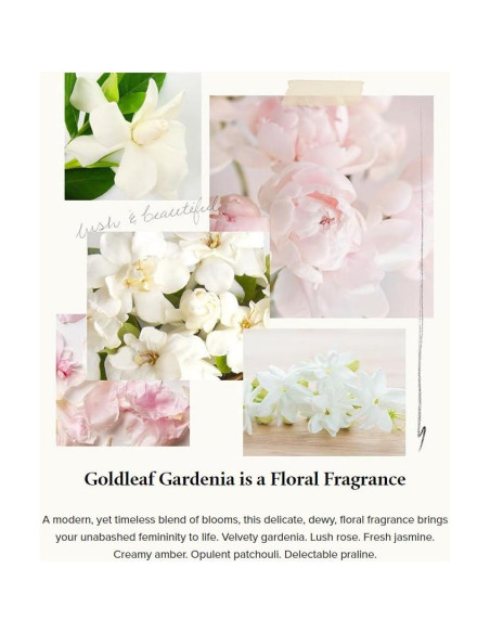 Loción de Mano Thymes Gardenia Dorada 243 ml - Cuidado Premium