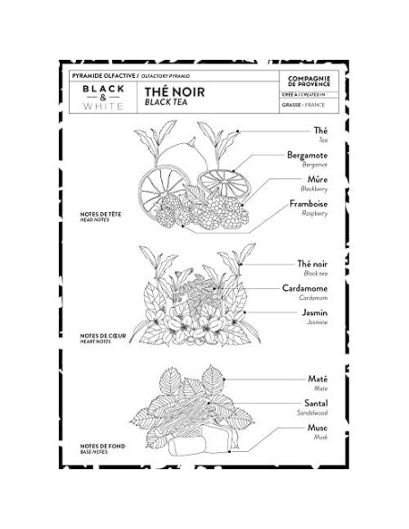 Crema de Manos Lujo Compagnie de Provence Té Negro 295 ml