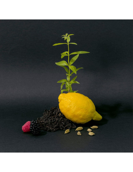 Crema de Manos Lujo Compagnie de Provence Té Negro 295 ml