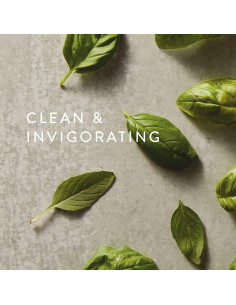 Recarga Jabón de Manos Thymes Albahaca Fresca 724 ml - Nutritivo 2