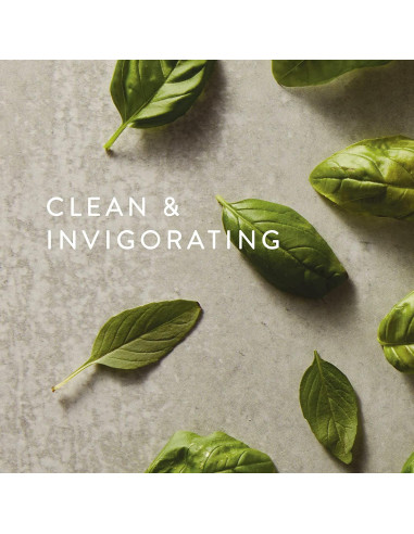 Recarga Jabón de Manos Thymes Albahaca Fresca 724 ml - Nutritivo