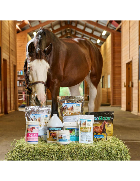 Suplemento para Caballos Uckele CocoOmega Granular 2.27 KG