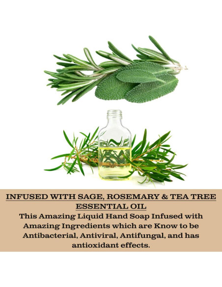 Jabón Antibacteriano Líquido Olivia Care 549 ml - Salvia y Árbol de Té