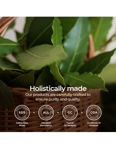 Aceite Esencial de Hoja de Laurel Orgánico Gya Labs 10 ml