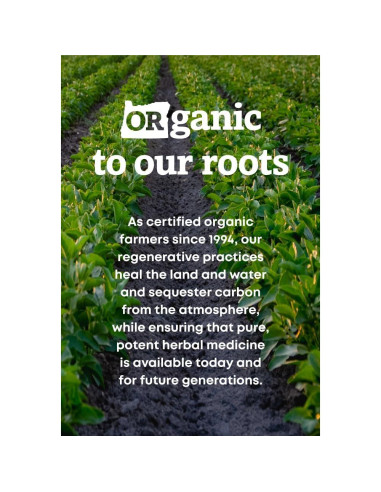 Suplemento Herbal Cordyceps Orgánico Oregon's Wild Harvest 60 Cápsulas