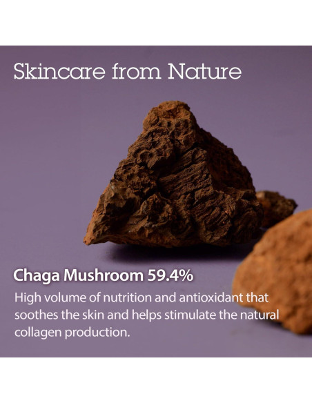 Dúo Cuidado de la Piel Blithe: Suero Tundra Chaga 49.6ml + Crema Ojos Cafeína 19.9ml