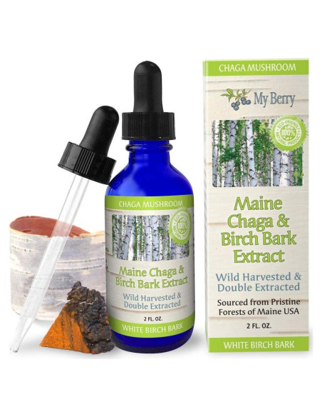 Extracto Líquido de Hongo Chaga My Berry 60ml Doble Extracto