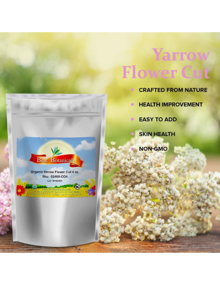 Corte de Flor de Milenrama Orgánico 113.4 g Mejores Botánicos Corte de Flor de Milenrama Orgánico 113.4 g Mejores Botánicos