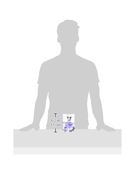 Rompecabezas 3D Hanayama Kuromi 38 Piezas Cristal