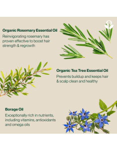 Aceite Natural para Cabello y Cuero Cabelludo Balmonds 150g 2