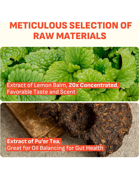 Bebida de Vinagre de Sidra de Manzana Liveling 30 Sticks Limón Bebida de Vinagre de Sidra de Manzana Liveling 30 Sticks Limón