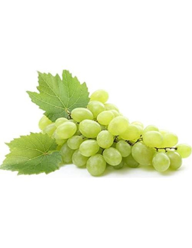 Aceite de Semilla de Uva Orgánico Puro OPO 454 g - Hidratante