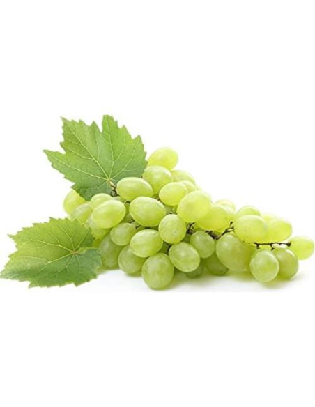 Aceite de Semilla de Uva Orgánico Puro OPO 454 g - Hidratante