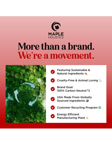 Champú Biotina Maple Holistics 500ml - Voluminizador Cabello Fino