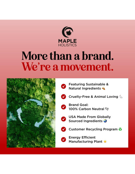 Champú Biotina Maple Holistics 500ml - Voluminizador Cabello Fino