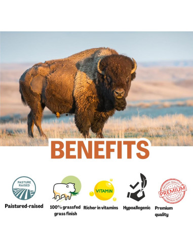 Bálsamo Hidratante Natural BISON EMU HONEY 56.7g