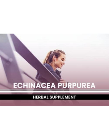 Cápsulas de Echinacea Purpurea 365 Unidades Ingredientes Originales Puros
