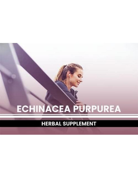 Cápsulas de Echinacea Purpurea 365 Unidades Ingredientes Originales Puros