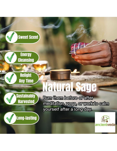 Palos de Salvia de Sangre de Dragón Ancientveda - 3 Unidades