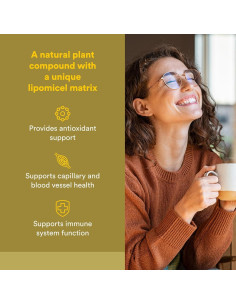 Quercetina LipoMicel Factores Naturales 30 Gelatinas Blandas 2