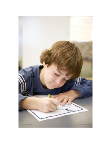 Libro de Colorear Despicable Me con Crayones 48 Páginas