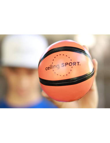 Aro de Baloncesto Mini Interior CEILING SPORT - 2 Balones