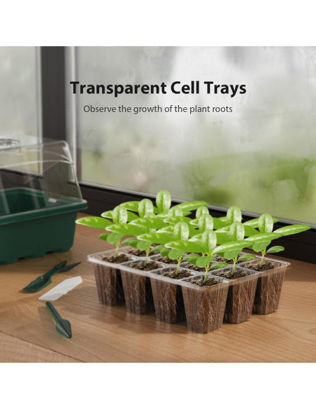 Bandeja para Iniciar Semillas POROLIR 10PCS Verde 12 Celdas