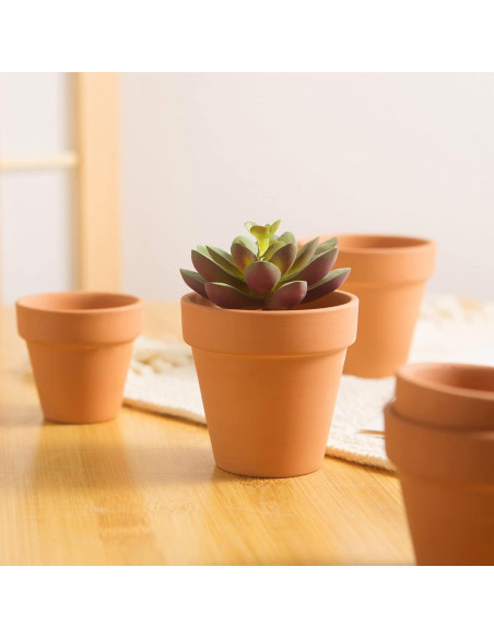 12 Macetas de Arcilla Terracota Fcacti 6.35 cm con Drenaje 12 Macetas de Arcilla Terracota Fcacti 6.35 cm con Drenaje