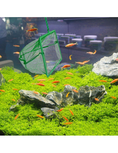 Paquete de 3 Redes de Pesca DQITJ 15 cm Antideslizantes