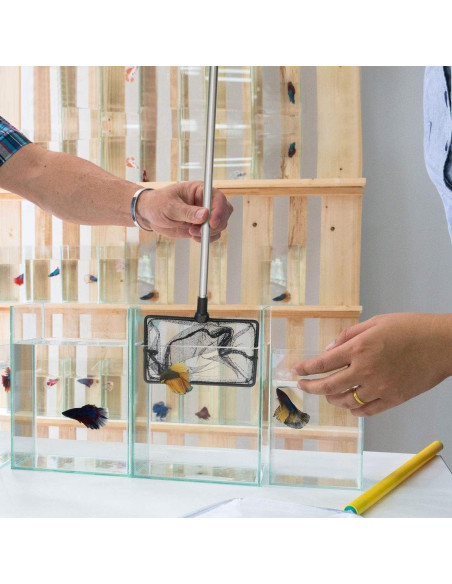 Red de Acuario Extensible Sumind 4" y 6" para Peces