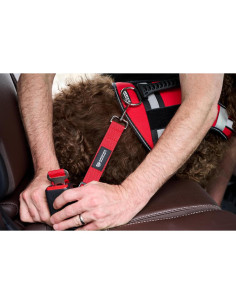 Cinturón de Seguridad Ajustable para Mascotas Support Pets - Nylon Rojo 2