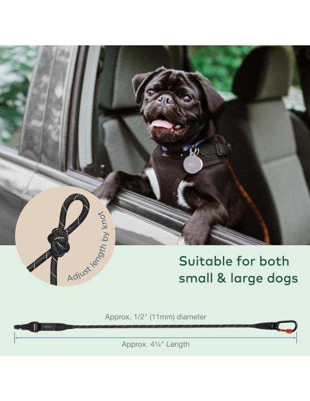 Cinturón de Seguridad para Perros ARCA PET Negro - Reflectante