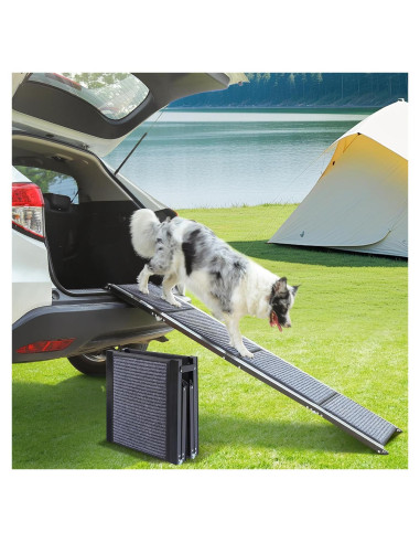 Rampa Plegable para Perros Wn's Day 160 cm Antideslizante