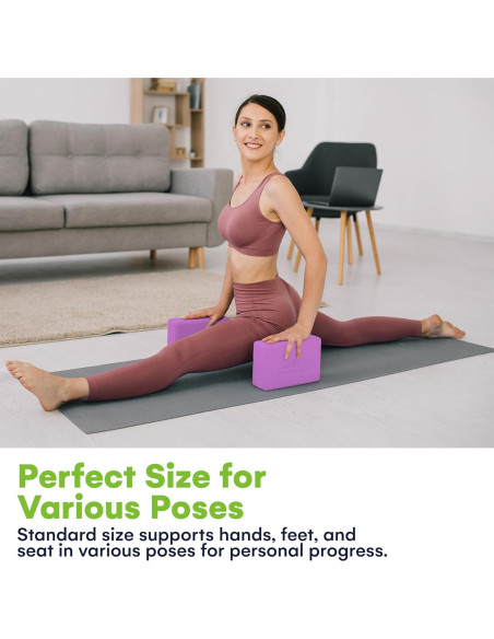 Bloques de Yoga Steady Doggie - Espuma Antideslizante - 2 Piezas