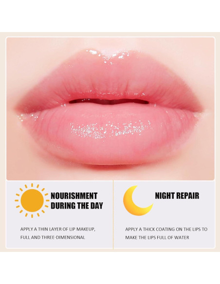 Mascarilla Labial Hidratante 4 PCS Lingyun - Miel, Fresa, Sandía, Manzana