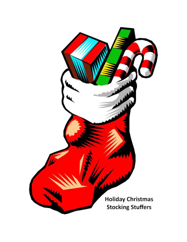 10 Fundas para Tarjetas de Crédito RFID Scan Protector TYVEK