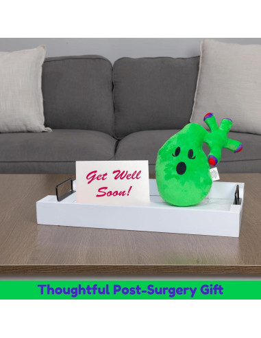 Peluche Vesícula Biliar Attatoy con 3 Cálculos Biliares