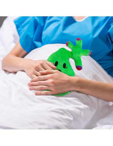 Peluche Vesícula Biliar Attatoy con 3 Cálculos Biliares