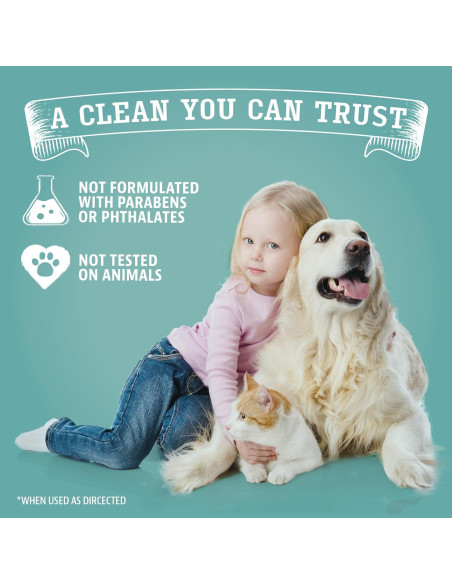 Limpiador Multiusos Angry Orange 0.71 L Aroma Cítricos Limpiador Multiusos Angry Orange 0.71 L Aroma Cítricos