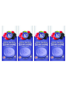 Ambientador de Piedra K29 Sterling Teal Berries Silvestres 4 Pzas