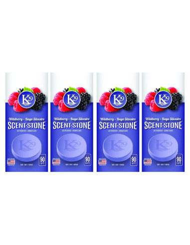 Ambientador de Piedra K29 Sterling Teal Berries Silvestres 4 Pzas