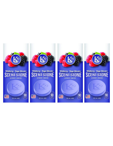 Ambientador de Piedra K29 Sterling Teal Berries Silvestres 4 Pzas